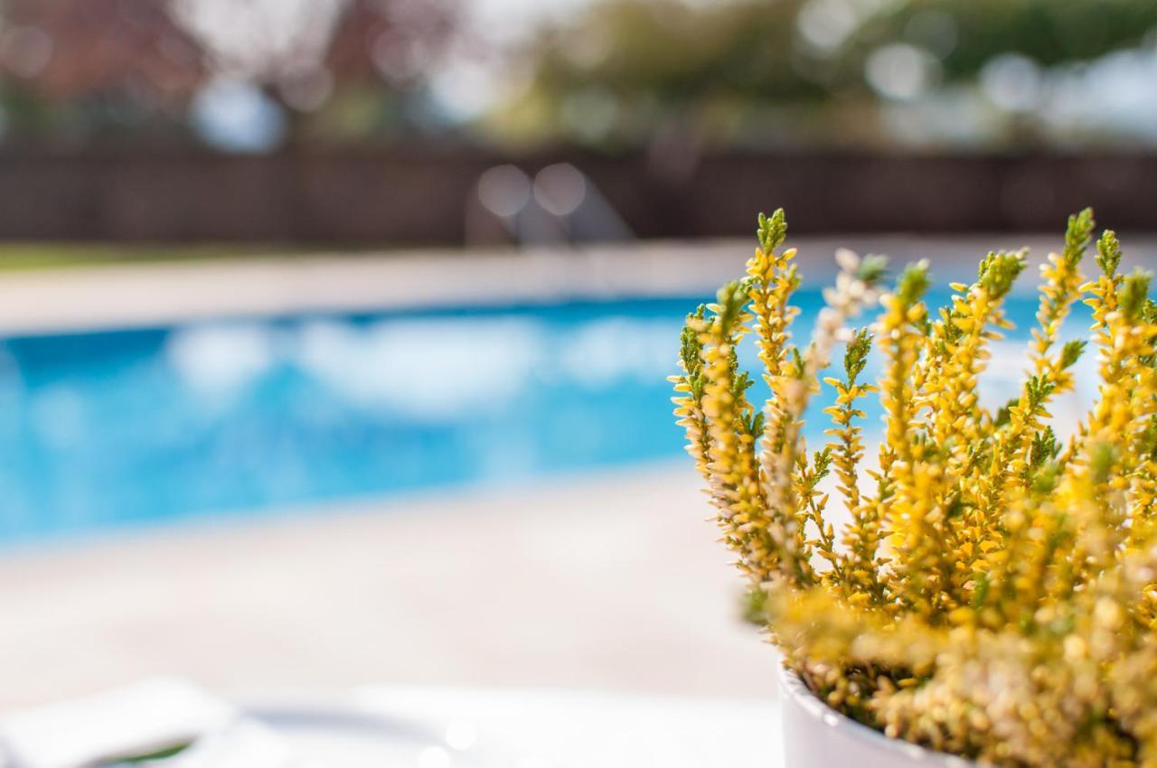Villa Nefeli Dassia  Ngoại thất bức ảnh