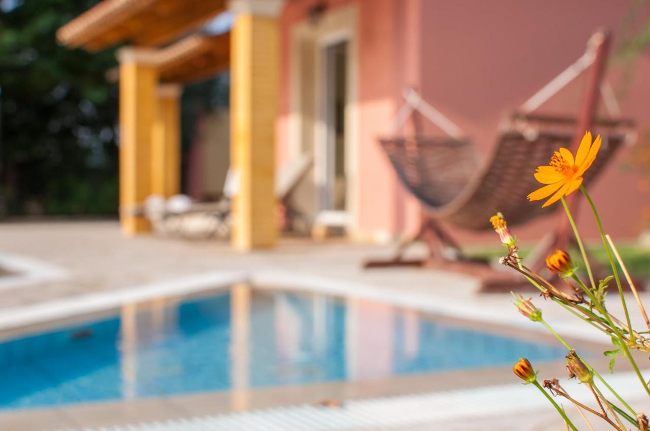 Villa Nefeli Dassia  Ngoại thất bức ảnh